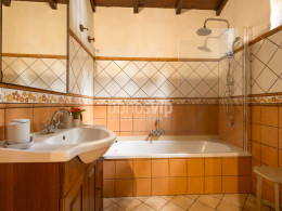 Monte Frío - Los Realejos