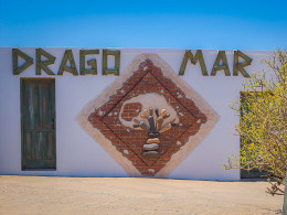 Parque Dragomar - Tacoronte