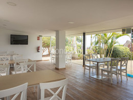 Parque Dragomar - Tacoronte