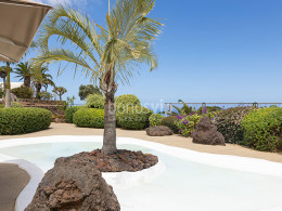 Parque Dragomar - Tacoronte