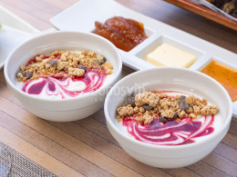 Parque Dragomar - Tacoronte