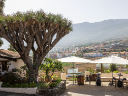 El Monasterio - Los Realejos