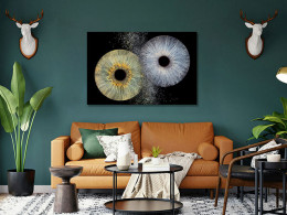 Iristellar - Costa Adeje