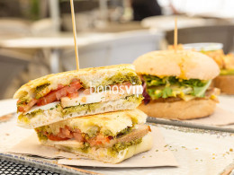 Serendipia - El Sauzal