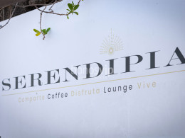 Serendipia - El Sauzal