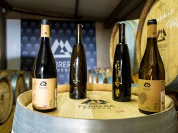 Menú para 2 con cata de vinos + visita a la bodega