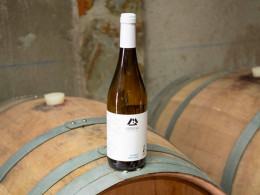 Menú para 2 con cata de vinos + visita a la bodega