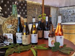 Bodegas Ferrera- Valle de Güimar