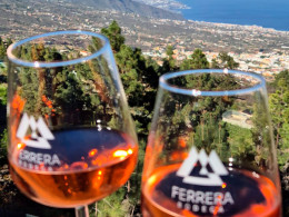 Bodegas Ferrera- Valle de Güimar