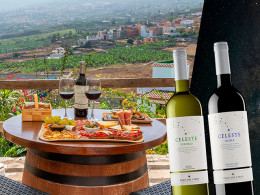 El Monasterio - Los Realejos