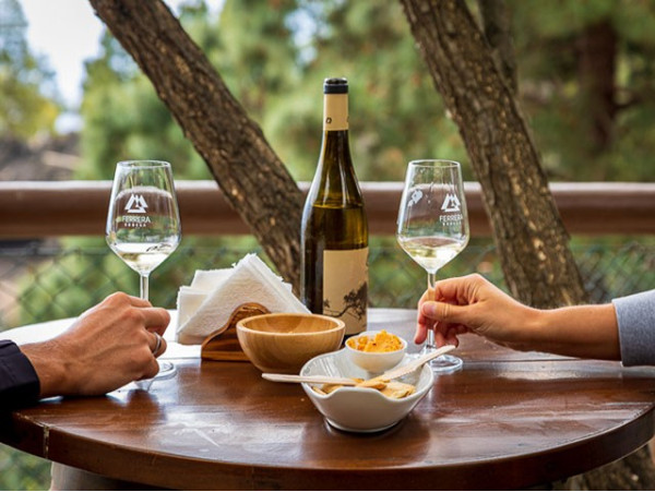 Cata de vinos con maridaje + visita libre al viñedo en Bodegas Ferrera