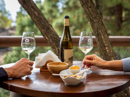 Bodegas Ferrera- Valle de Güimar