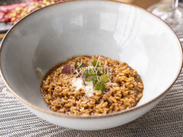 La Forêt - Santa Cruz