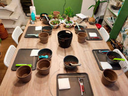 Vitakoke: Taller de Kokedamas con vino o cerveza + picoteo 