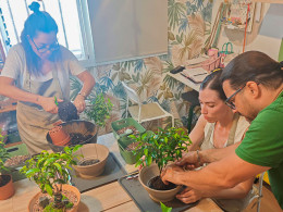 Vitakoke: Taller de Kokedamas con vino o cerveza + picoteo 