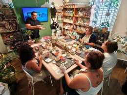 Vitakoke: Taller de Kokedamas con vino o cerveza + picoteo 