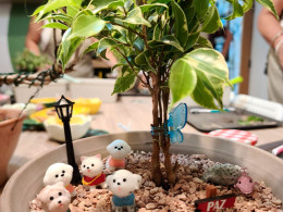 Vitakoke: Taller de Kokedamas con vino o cerveza + picoteo 