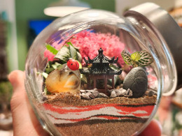 Vitakoke: Taller de Kokedamas con vino o cerveza + picoteo 