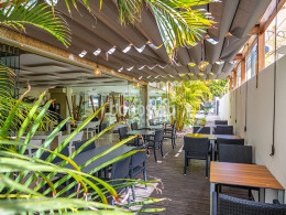 Jarana Gastroterraza - Santa Cruz 