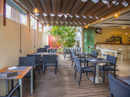 Jarana Gastroterraza - Santa Cruz 