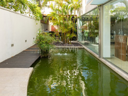 Jarana Gastroterraza - Santa Cruz 