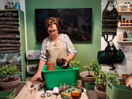 Tallitos Green - La Laguna 