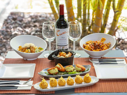 Jarana Gastroterraza - Santa Cruz 