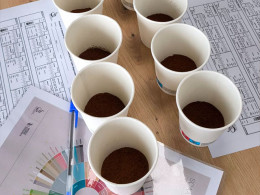 Cata de 5 cafés elaborados con diferentes métodos de extracción y maridaje