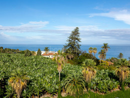 AluaSoul Orotava Valley