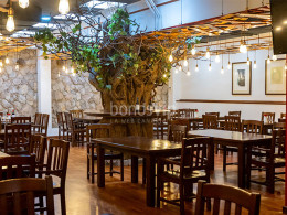 Tasca Tapias - La Orotava