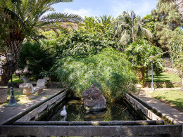 El Monasterio - Los Realejos