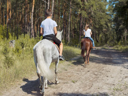Centro Hípico Las Riendas - La Laguna