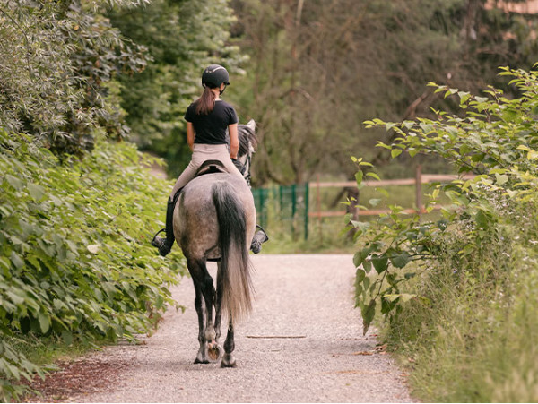 Ruta a caballo de 90 minutos