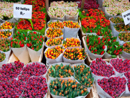 Tourismile - Tenerife