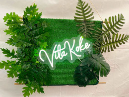 Vitakoke: Taller de Kokedamas con vino o cerveza + picoteo 