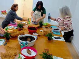 Vitakoke: Taller de Kokedamas con vino o cerveza + picoteo 