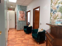 Loam Belle Tacoronte