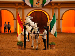 Tourismile - Tenerife