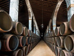 Tourismile - Tenerife