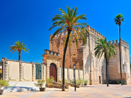 Tourismile - Tenerife