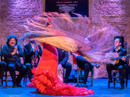 Tourismile - Tenerife