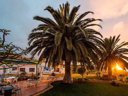 Finca San Juan - San Juan de la Rambla