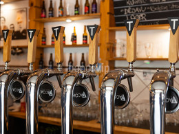 TACOA Cervecería y fábrica - El Sauzal