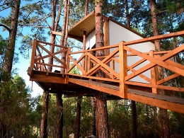 Monte Frío - La Guancha