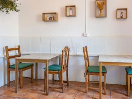 Canelita en Rama - La Laguna