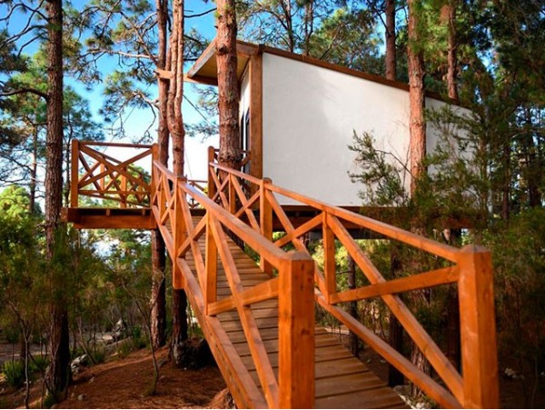 Monte Frío - La Guancha