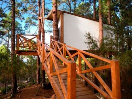 Monte Frío - La Guancha