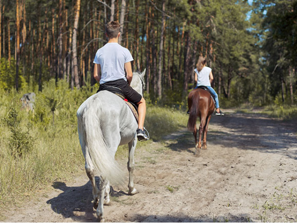 Centro Hípico Las Riendas - La Laguna
