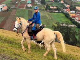 Centro Hípico Las Riendas - La Laguna