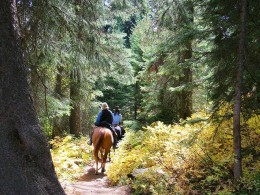 Centro Hípico Las Riendas - La Laguna
